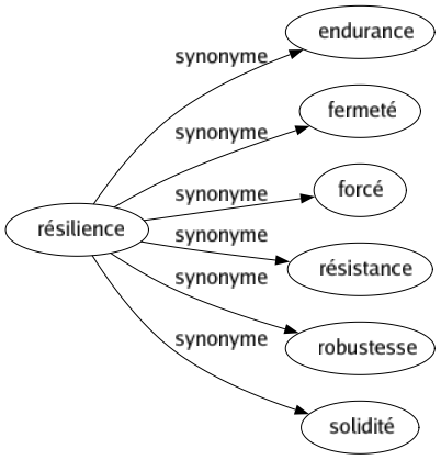 Synonyme de Résilience : Endurance Fermeté Forcé Résistance Robustesse Solidité 