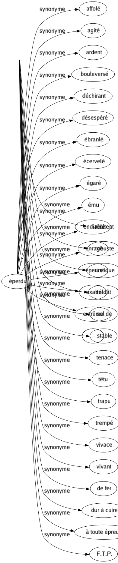 Synonyme de Résistant : Coriace Désobéissant Dissident Dur Durable Endurant Endurci Fermé Fort Fortifié Franc-tireur Immuable Impérissable Inattaquable Incassable Increvable Indestructible Inébranlable Infatigable Infrangible Insoumis Inusable Invulnérable Maquisard Nerveux Opiniâtre Partisan Patriote Puissant Rebellé Réfractaire Rénitent Robuste Rustique Soldât Solide Stable Tenace Têtu Trapu Trempé Vivace Vivant De fer Dur à cuire À toute épreuve F.t.p. 