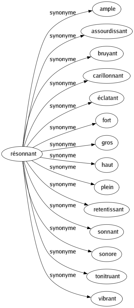 Synonyme de Résonnant : Ample Assourdissant Bruyant Carillonnant Éclatant Fort Gros Haut Plein Retentissant Sonnant Sonore Tonitruant Vibrant 