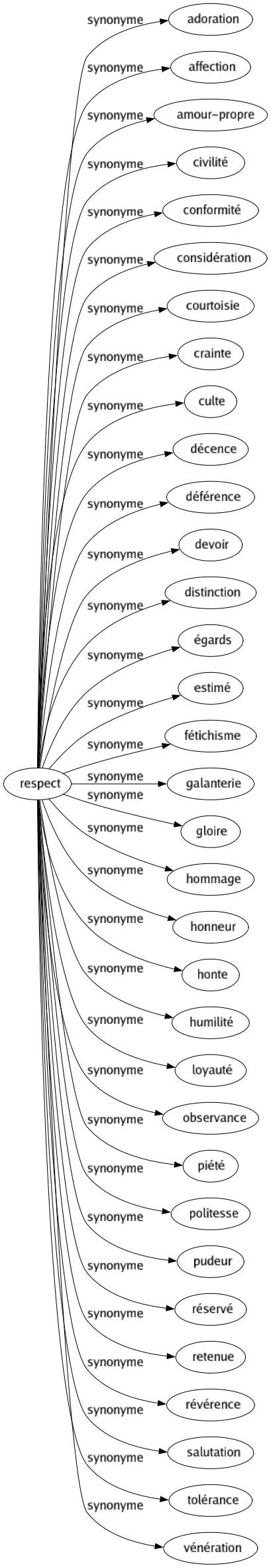 Synonyme de Respect : Adoration Affection Amour-propre Civilité Conformité Considération Courtoisie Crainte Culte Décence Déférence Devoir Distinction Égards Estimé Fétichisme Galanterie Gloire Hommage Honneur Honte Humilité Loyauté Observance Piété Politesse Pudeur Réservé Retenue Révérence Salutation Tolérance Vénération 