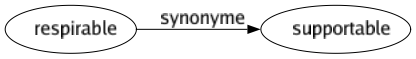 Synonyme de Respirable : Supportable 