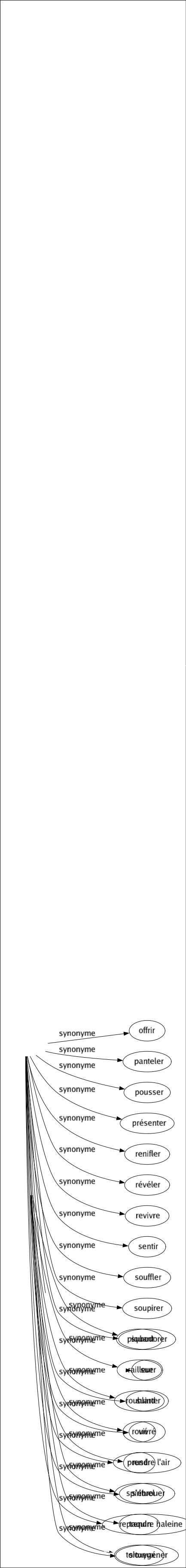Synonyme de Respirer : Absorber Afficher Anhéler Aspirer Boire Exhaler Expirer Exprimer Flairer Haleter Humer Inhaler Inspirer Manifester Marquer Montrer Offrir Panteler Pousser Présenter Renifler Révéler Revivre Sentir Souffler Soupirer Subodorer Suer Suinter Vivré Prendre l'air S'ébrouer Reprendre haleine S'oxygéner 