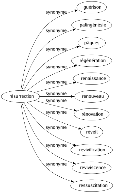 Synonyme de Résurrection : Guérison Palingénésie Pâques Régénération Renaissance Renouveau Rénovation Réveil Revivification Reviviscence Ressuscitation 