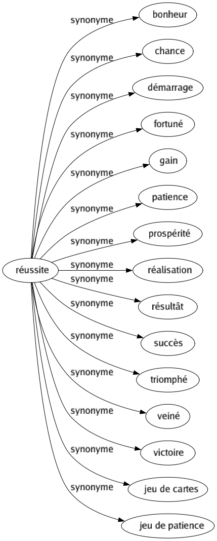 Synonyme de Réussite : Bonheur Chance Démarrage Fortuné Gain Patience Prospérité Réalisation Résultât Succès Triomphé Veiné Victoire Jeu de cartes Jeu de patience 