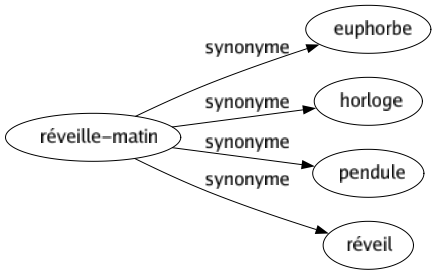 Synonyme de Réveille-matin : Euphorbe Horloge Pendule Réveil 