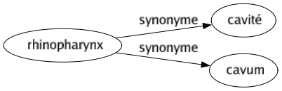 Synonyme de Rhinopharynx : Cavité Cavum 