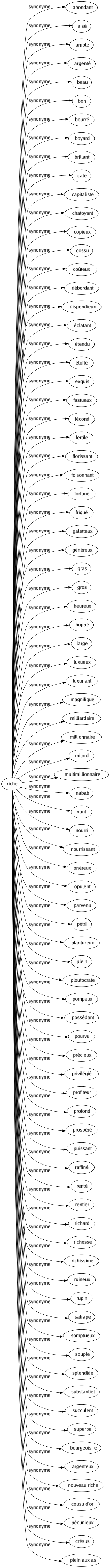 Synonyme de Riche : Abondant Aisé Ample Argenté Beau Bon Bourré Boyard Brillant Calé Capitaliste Chatoyant Copieux Cossu Coûteux Débordant Dispendieux Éclatant Étendu Étoffé Exquis Fastueux Fécond Fertile Florissant Foisonnant Fortuné Friqué Galetteux Généreux Gras Gros Heureux Huppé Large Luxueux Luxuriant Magnifique Milliardaire Millionnaire Milord Multimillionnaire Nabab Nanti Nourri Nourrissant Onéreux Opulent Parvenu Pétri Plantureux Plein Ploutocrate Pompeux Possédant Pourvu Précieux Privilégié Profiteur Profond Prospéré Puissant Raffiné Renté Rentier Richard Richesse Richissime Ruineux Rupin Satrape Somptueux Souple Splendide Substantiel Succulent Superbe Bourgeois-e Argenteux Nouveau riche Cousu d'or Pécunieux Crésus Plein aux as 