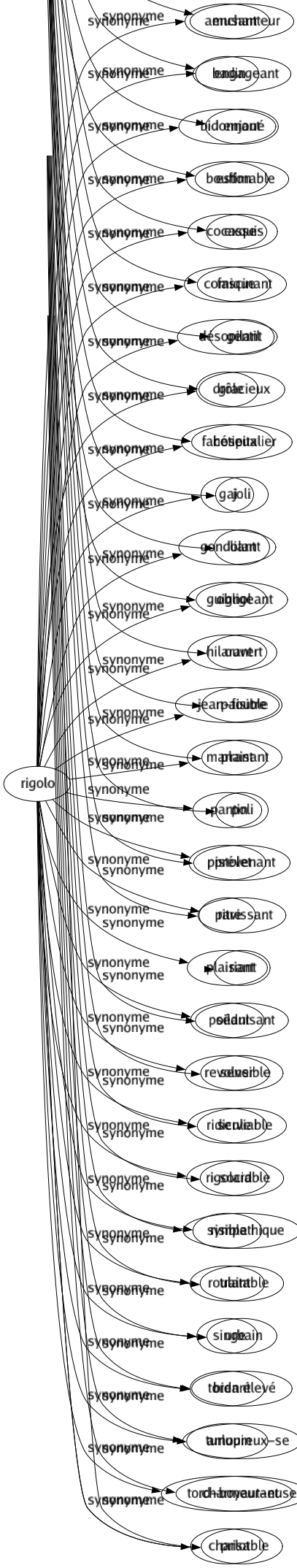 Synonyme de Rigolo : Amusant Badin Bidonnant Bouffon Cocasse Comique Désopilant Drôle Facétieux Gai Gondolant Guignol Hilarant Jean-foutre Marrant Pantin Pistolet Pitre Plaisant Poilant Revolver Ridicule Rigolard Risible Roulant Singe Tordant Turlupin Tord-boyautant Charlot 