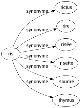 Synonyme de Ris : Rictus Rire Risée Risette Sourire Thymus 