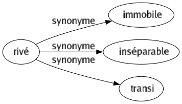 Synonyme de Rivé : Immobile Inséparable Transi 