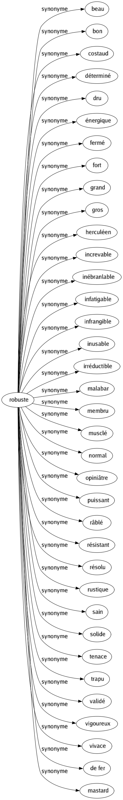Synonyme de Robuste : Beau Bon Costaud Déterminé Dru Énergique Fermé Fort Grand Gros Herculéen Increvable Inébranlable Infatigable Infrangible Inusable Irréductible Malabar Membru Musclé Normal Opiniâtre Puissant Râblé Résistant Résolu Rustique Sain Solide Tenace Trapu Validé Vigoureux Vivace De fer Mastard 