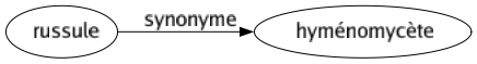 Synonyme de Russule : Hyménomycète 