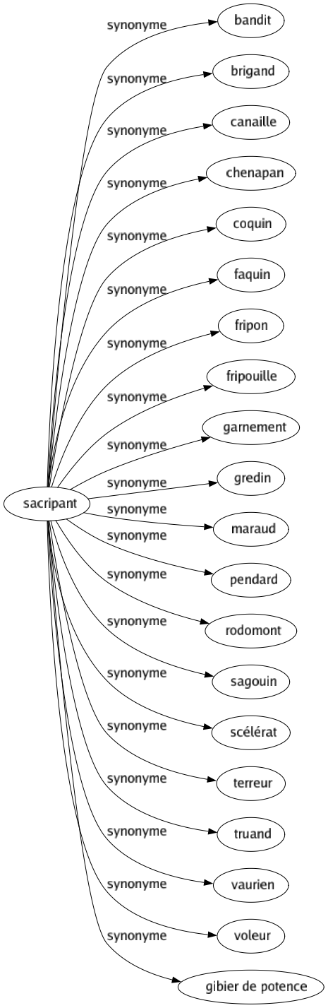 Synonyme de Sacripant : Bandit Brigand Canaille Chenapan Coquin Faquin Fripon Fripouille Garnement Gredin Maraud Pendard Rodomont Sagouin Scélérat Terreur Truand Vaurien Voleur Gibier de potence 