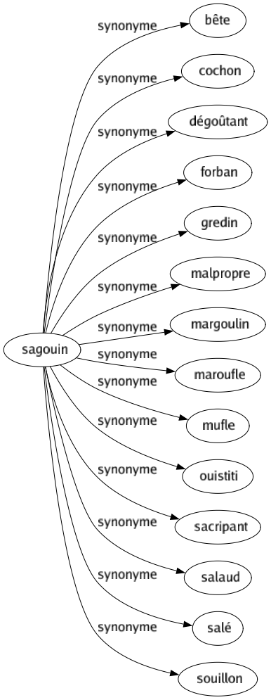 Synonyme de Sagouin : Bête Cochon Dégoûtant Forban Gredin Malpropre Margoulin Maroufle Mufle Ouistiti Sacripant Salaud Salé Souillon 