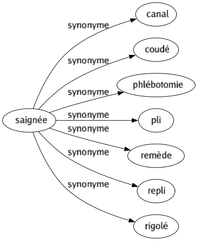 Synonyme de Saignée : Canal Coudé Phlébotomie Pli Remède Repli Rigolé 