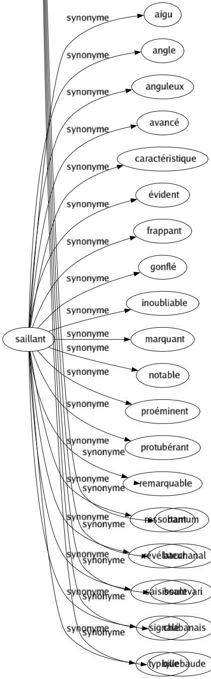 Synonyme de Saillant : Aigu Angle Anguleux Avancé Caractéristique Évident Frappant Gonflé Inoubliable Marquant Notable Proéminent Protubérant Remarquable Ressortant Révélateur Saisissant Signalé Typique 