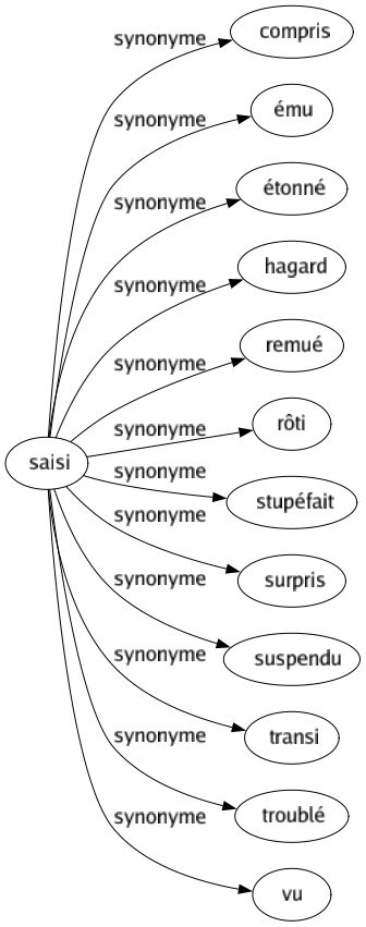 Synonyme de Saisi : Compris Ému Étonné Hagard Remué Rôti Stupéfait Surpris Suspendu Transi Troublé Vu 