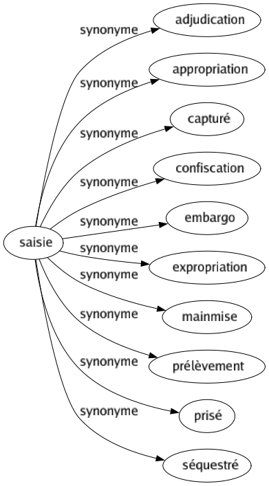 Synonyme de Saisie : Adjudication Appropriation Capturé Confiscation Embargo Expropriation Mainmise Prélèvement Prisé Séquestré 
