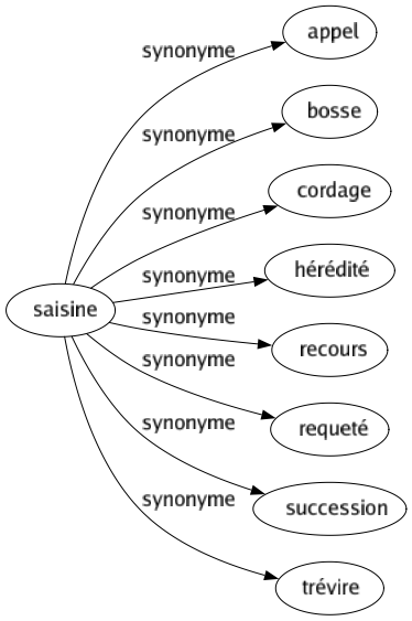 Synonyme de Saisine : Appel Bosse Cordage Hérédité Recours Requeté Succession Trévire 