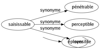 Synonyme de Saisissable : Pénétrable Perceptible Sensible 