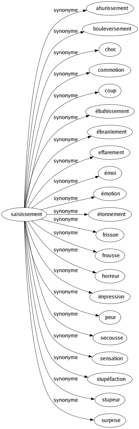 Synonyme de Saisissement : Ahurissement Bouleversement Choc Commotion Coup Ébahissement Ébranlement Effarement Émoi Émotion Étonnement Frisson Frousse Horreur Impression Peur Secousse Sensation Stupéfaction Stupeur Surprise 