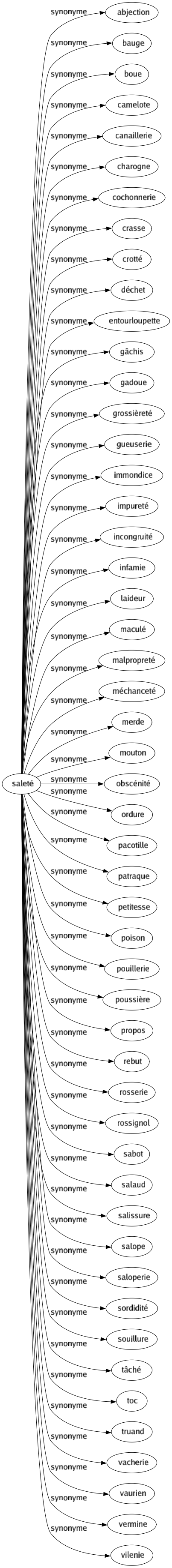 Synonyme de Saleté : Abjection Bauge Boue Camelote Canaillerie Charogne Cochonnerie Crasse Crotté Déchet Entourloupette Gâchis Gadoue Grossièreté Gueuserie Immondice Impureté Incongruité Infamie Laideur Maculé Malpropreté Méchanceté Merde Mouton Obscénité Ordure Pacotille Patraque Petitesse Poison Pouillerie Poussière Propos Rebut Rosserie Rossignol Sabot Salaud Salissure Salope Saloperie Sordidité Souillure Tâché Toc Truand Vacherie Vaurien Vermine Vilenie 