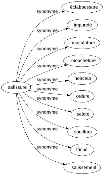 Synonyme de Salissure : Éclaboussure Impureté Maculature Moucheture Noirceur Ordure Saleté Souillure Tâché Salissement 