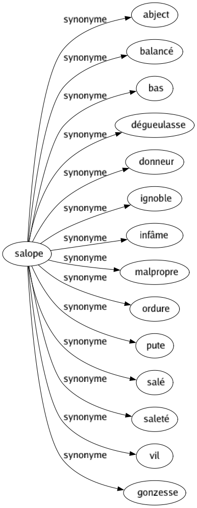 Synonyme de Salope : Abject Balancé Bas Dégueulasse Donneur Ignoble Infâme Malpropre Ordure Pute Salé Saleté Vil Gonzesse 