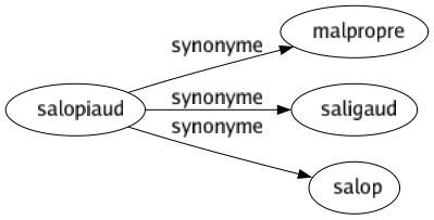 Synonyme de Salopiaud : Malpropre Saligaud Salop 