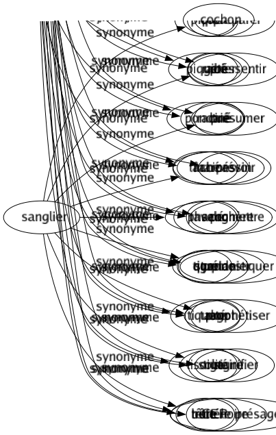 Synonyme de Sanglier : Cochon Gibier Laie Marcassin Phacochère Quartanier Ragot Solitaire Bête noire 