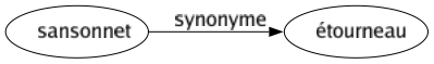 Synonyme de Sansonnet : Étourneau 