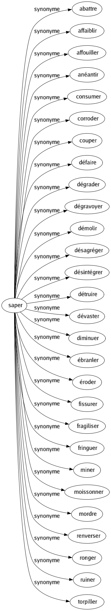 Synonyme de Saper : Abattre Affaiblir Affouiller Anéantir Consumer Corroder Couper Défaire Dégrader Dégravoyer Démolir Désagréger Désintégrer Détruire Dévaster Diminuer Ébranler Éroder Fissurer Fragiliser Fringuer Miner Moissonner Mordre Renverser Ronger Ruiner Torpiller 