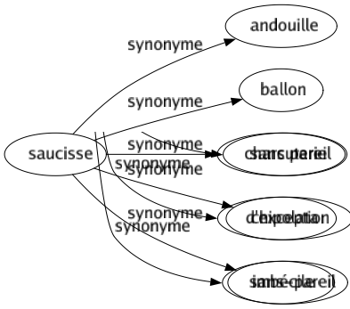 Synonyme de Saucisse : Andouille Ballon Charcuterie Chipolata Imbécile 