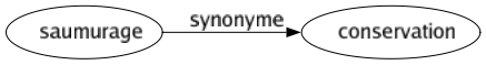 Synonyme de Saumurage : Conservation 
