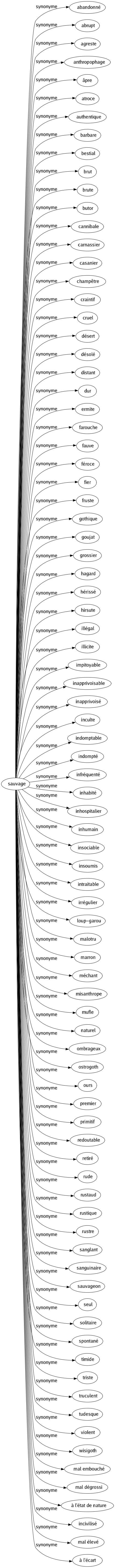 Synonyme de Sauvage : Abandonné Abrupt Agreste Anthropophage Âpre Atroce Authentique Barbare Bestial Brut Brute Butor Cannibale Carnassier Casanier Champêtre Craintif Cruel Désert Désolé Distant Dur Ermite Farouche Fauve Féroce Fier Fruste Gothique Goujat Grossier Hagard Hérissé Hirsute Illégal Illicite Impitoyable Inapprivoisable Inapprivoisé Inculte Indomptable Indompté Infréquenté Inhabité Inhospitalier Inhumain Insociable Insoumis Intraitable Irrégulier Loup-garou Malotru Marron Méchant Misanthrope Mufle Naturel Ombrageux Ostrogoth Ours Premier Primitif Redoutable Retiré Rude Rustaud Rustique Rustre Sanglant Sanguinaire Sauvageon Seul Solitaire Spontané Timide Triste Truculent Tudesque Violent Wisigoth Mal embouché Mal dégrossi À l'état de nature Incivilisé Mal élevé À l'écart 
