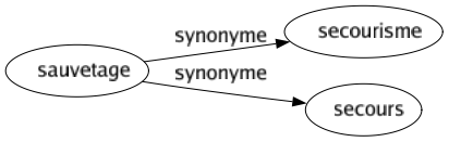 Synonyme de Sauvetage : Secourisme Secours 