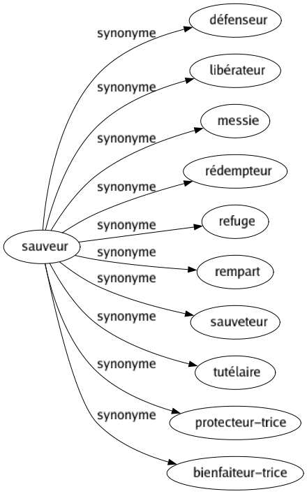 Synonyme de Sauveur : Défenseur Libérateur Messie Rédempteur Refuge Rempart Sauveteur Tutélaire Protecteur-trice Bienfaiteur-trice 