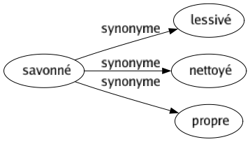 Synonyme de Savonné : Lessivé Nettoyé Propre 