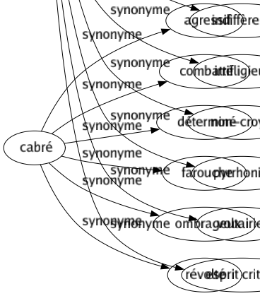 Synonyme de Sceptique : Aporétique Athée Blasé Circonspect Défiant Désintéressé Dilettante Douteur Dubitatif Incrédule Incroyant Indiffèrent Irréligieux Non-croyant Pyrrhonien Voltairien Esprit critique 