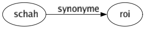 Synonyme de Schah : Roi 