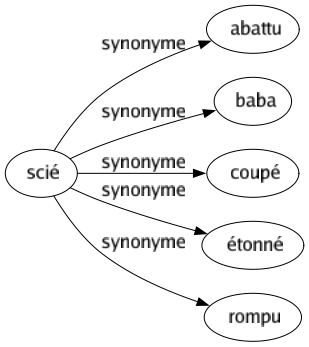 Synonyme de Scié : Abattu Baba Coupé Étonné Rompu 