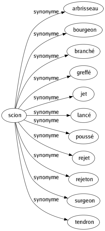 Synonyme de Scion : Arbrisseau Bourgeon Branché Greffé Jet Lancé Poussé Rejet Rejeton Surgeon Tendron 