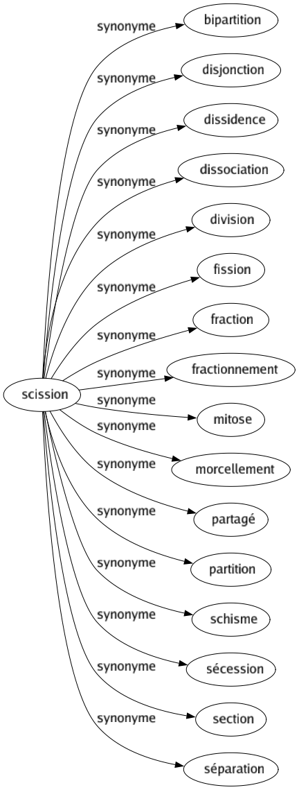 Synonyme de Scission : Bipartition Disjonction Dissidence Dissociation Division Fission Fraction Fractionnement Mitose Morcellement Partagé Partition Schisme Sécession Section Séparation 