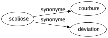 Synonyme de Scoliose : Courbure Déviation 