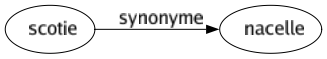 Synonyme de Scotie : Nacelle 
