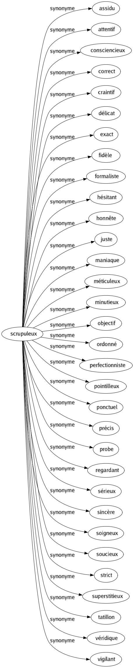 Synonyme de Scrupuleux : Assidu Attentif Consciencieux Correct Craintif Délicat Exact Fidèle Formaliste Hésitant Honnête Juste Maniaque Méticuleux Minutieux Objectif Ordonné Perfectionniste Pointilleux Ponctuel Précis Probe Regardant Sérieux Sincère Soigneux Soucieux Strict Superstitieux Tatillon Véridique Vigilant 