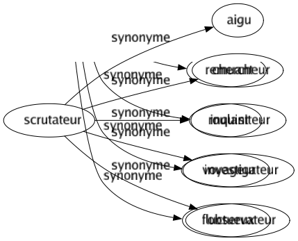 Synonyme de Scrutateur : Aigu Chercheur Inquisiteur Investigateur Observateur 