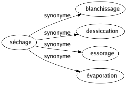 Synonyme de Séchage : Blanchissage Dessiccation Essorage Évaporation 