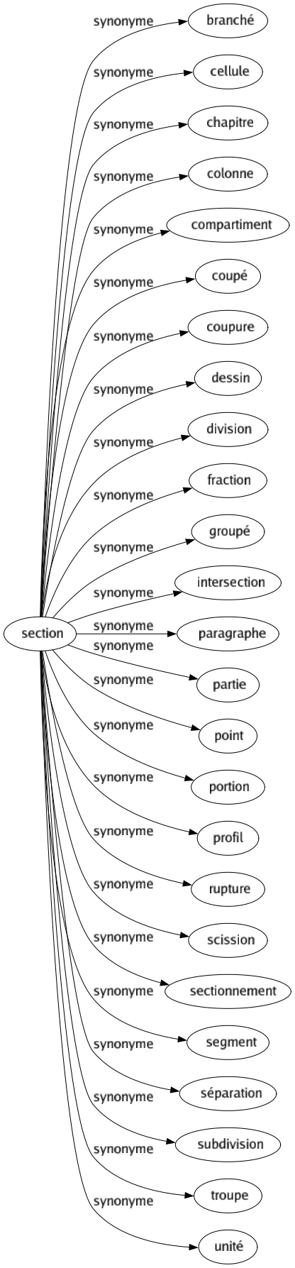 Synonyme de Section : Branché Cellule Chapitre Colonne Compartiment Coupé Coupure Dessin Division Fraction Groupé Intersection Paragraphe Partie Point Portion Profil Rupture Scission Sectionnement Segment Séparation Subdivision Troupe Unité 