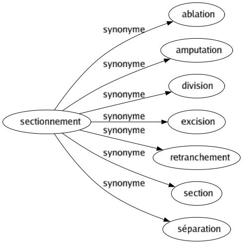 Synonyme de Sectionnement : Ablation Amputation Division Excision Retranchement Section Séparation 